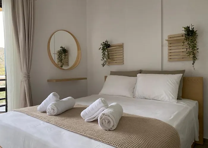 The Lemon Breeze Toló